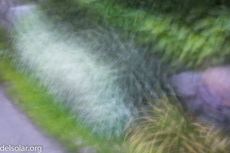 Canon EOS 5D Mark III  --  70 mm  --  EF70-200mm f/4L USM  