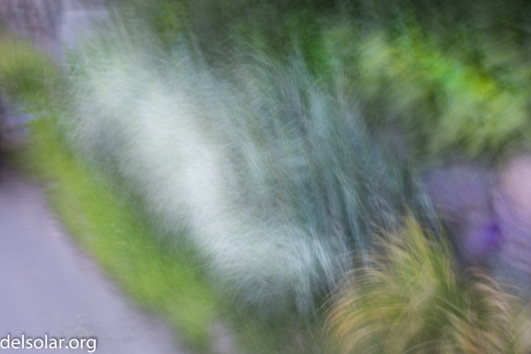 Canon EOS 5D Mark III  --  70 mm  --  EF70-200mm f/4L USM  