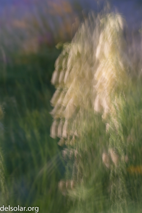 Canon EOS 5D Mark III  --  126 mm  --  EF70-200mm f/4L USM  