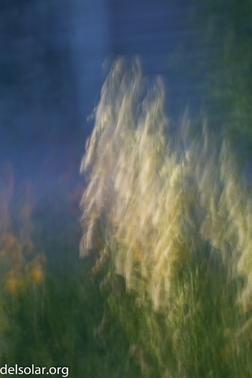 Canon EOS 5D Mark III  --  81 mm  --  EF70-200mm f/4L USM  