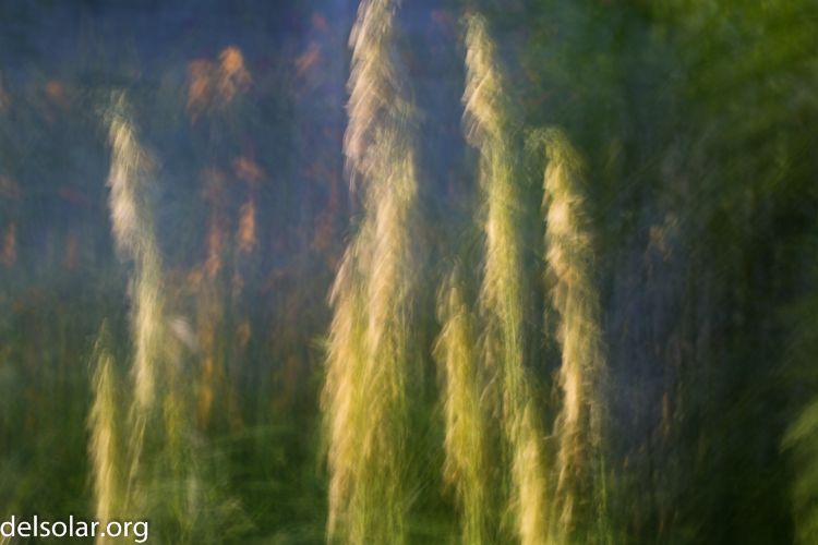 Canon EOS 5D Mark III  --  70 mm  --  EF70-200mm f/4L USM  