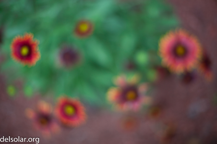 Canon EOS 5D Mark II  --  50 mm  --  EF50mm f/1.4 USM  