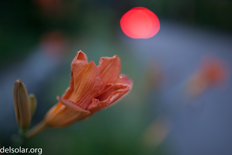 Canon EOS 5D Mark II  --  35 mm  --  35mm  