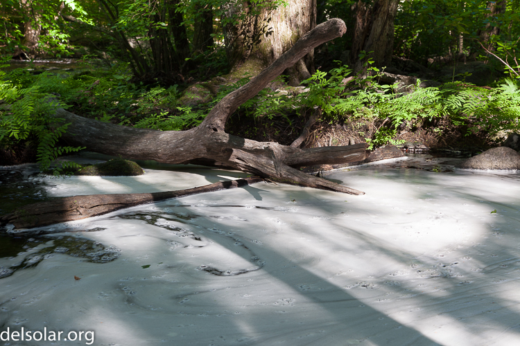 Canon EOS 5D Mark II  --  60 mm  --  EF24-105mm f/4L IS USM  