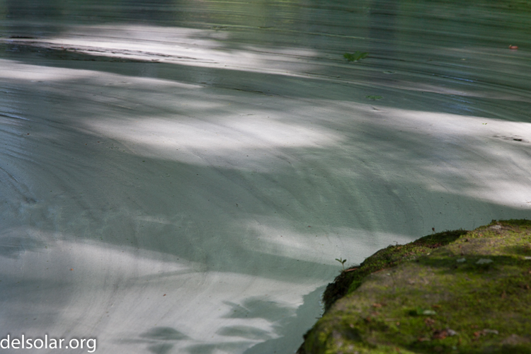 Canon EOS 5D Mark II  --  105 mm  --  EF24-105mm f/4L IS USM  