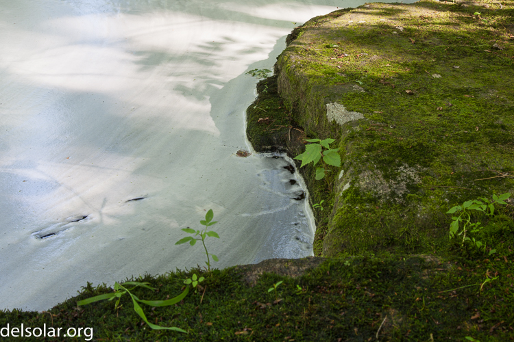 Canon EOS 5D Mark II  --  45 mm  --  EF24-105mm f/4L IS USM  