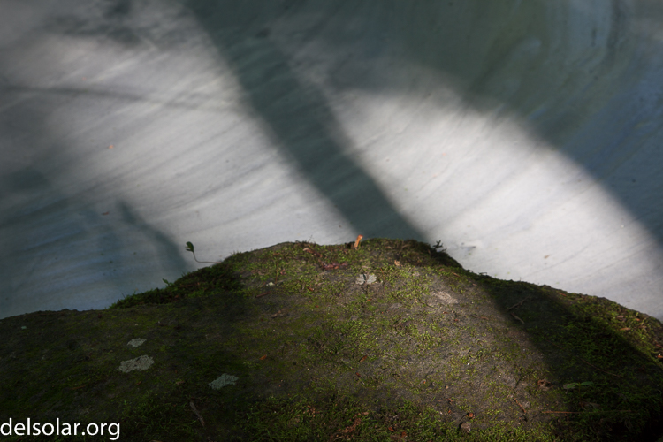 Canon EOS 5D Mark II  --  70 mm  --  EF24-105mm f/4L IS USM  