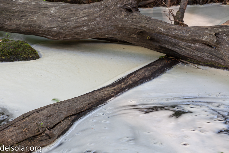 Canon EOS 5D Mark II  --  135 mm  --  EF70-200mm f/4L USM  