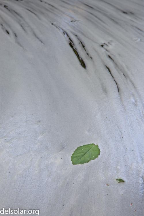 Canon EOS 5D Mark II  --  105 mm  --  EF24-105mm f/4L IS USM  