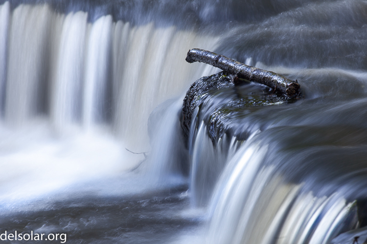 Canon EOS 5D Mark II  --  200 mm  --  EF70-200mm f/4L USM  