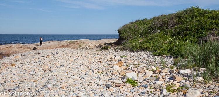 Canon EOS 5D Mark II  --  47 mm  --  EF24-105mm f/4L IS USM  