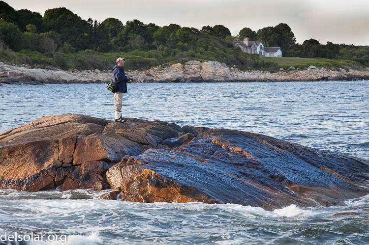 Canon EOS 5D Mark II  --  105 mm  --  EF24-105mm f/4L IS USM  