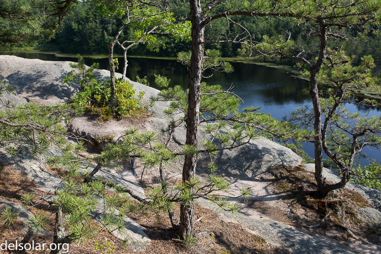 Canon EOS 5D Mark III  --  35 mm  --  35mm  