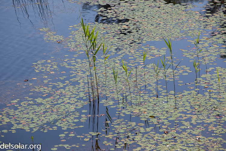 Canon EOS 5D Mark II  --  200 mm  --  EF70-200mm f/4L USM  