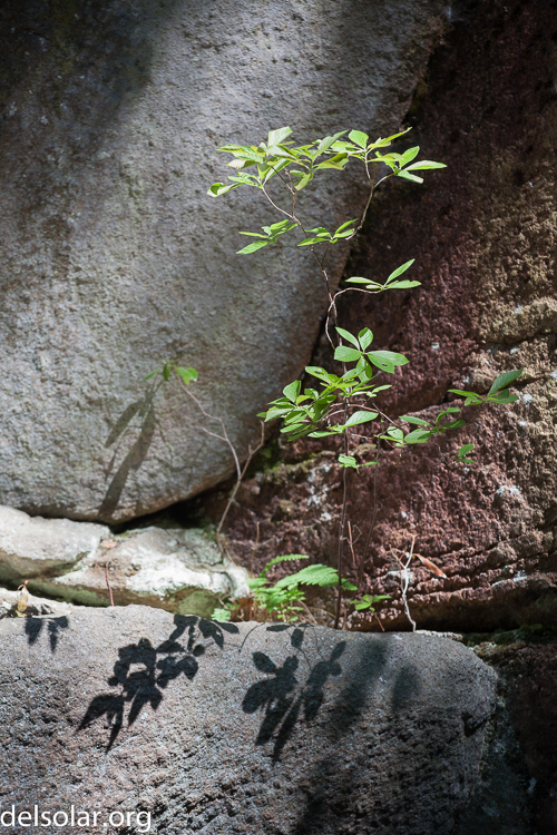 Canon EOS 5D Mark II  --  145 mm  --  EF70-200mm f/4L USM  