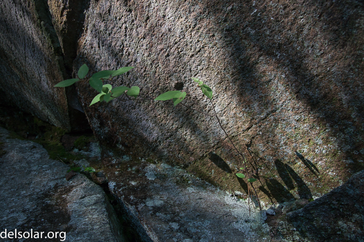 Canon EOS 5D Mark II  --  32 mm  --  EF24-105mm f/4L IS USM  