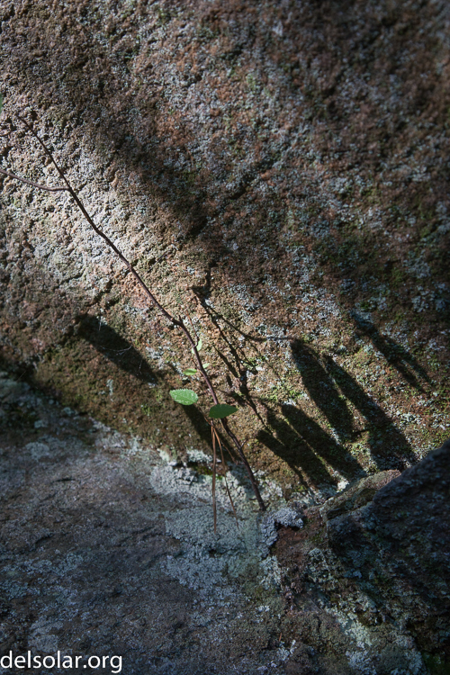 Canon EOS 5D Mark II  --  58 mm  --  EF24-105mm f/4L IS USM  