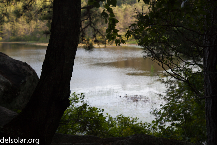 Canon EOS 5D Mark II  --  55 mm  --  EF24-105mm f/4L IS USM  