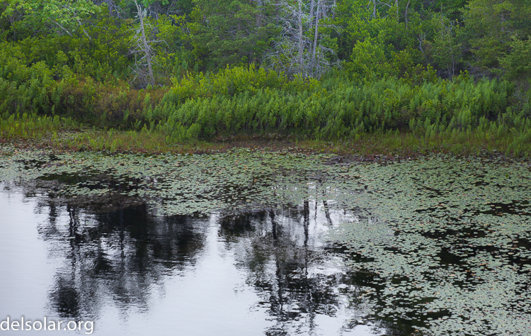 Canon EOS 5D Mark II  --  145 mm  --  EF70-200mm f/4L USM  