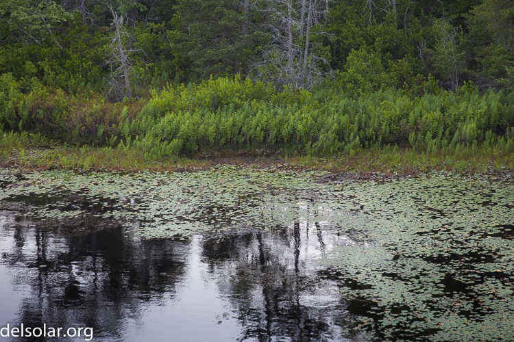 Canon EOS 5D Mark II  --  172 mm  --  EF70-200mm f/4L USM  