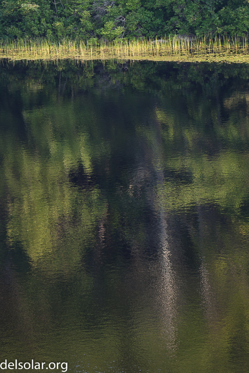 Canon EOS 5D Mark II  --  154 mm  --  EF70-200mm f/4L USM  