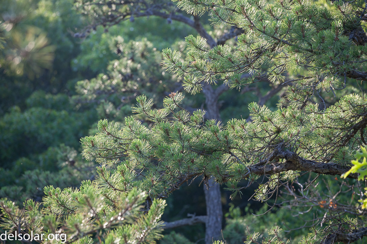 Canon EOS 5D Mark II  --  154 mm  --  EF70-200mm f/4L USM  