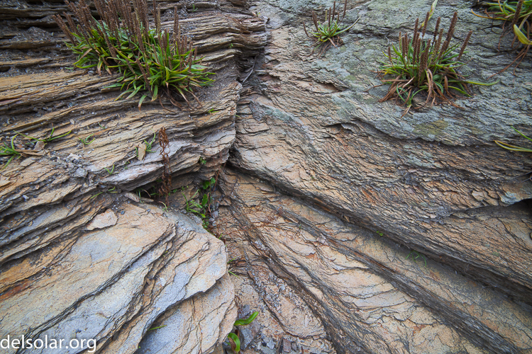 Canon EOS 5D Mark II  --  14 mm  --  14-14mm  