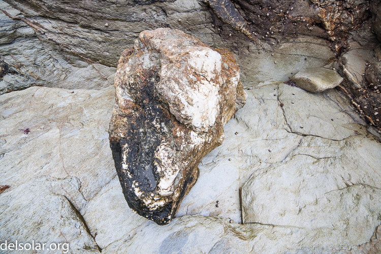 Canon EOS 5D Mark II  --  14 mm  --  14-14mm  