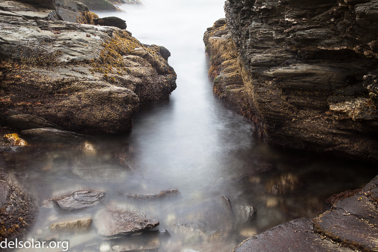 Canon EOS 5D Mark II  --  47 mm  --  EF24-105mm f/4L IS USM  