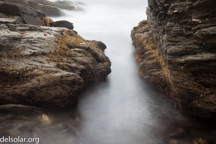 Canon EOS 5D Mark II  --  60 mm  --  EF24-105mm f/4L IS USM  