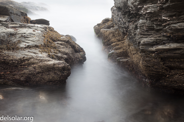 Canon EOS 5D Mark II  --  60 mm  --  EF24-105mm f/4L IS USM  