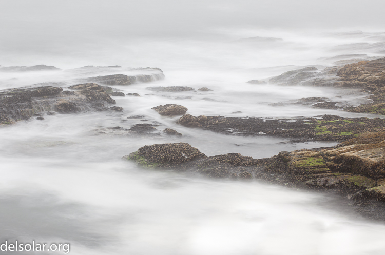 Canon EOS 5D Mark II  --  104 mm  --  EF70-200mm f/4L USM  