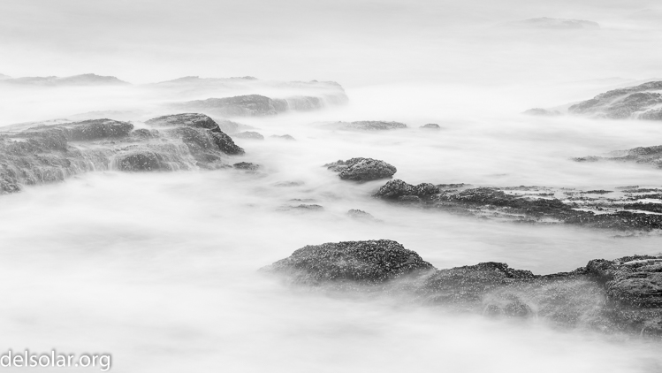 Canon EOS 5D Mark II  --  104 mm  --  EF70-200mm f/4L USM  