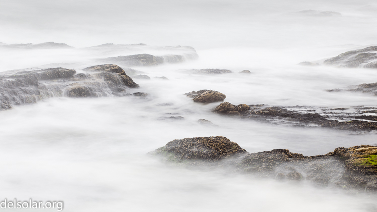 Canon EOS 5D Mark II  --  104 mm  --  EF70-200mm f/4L USM  