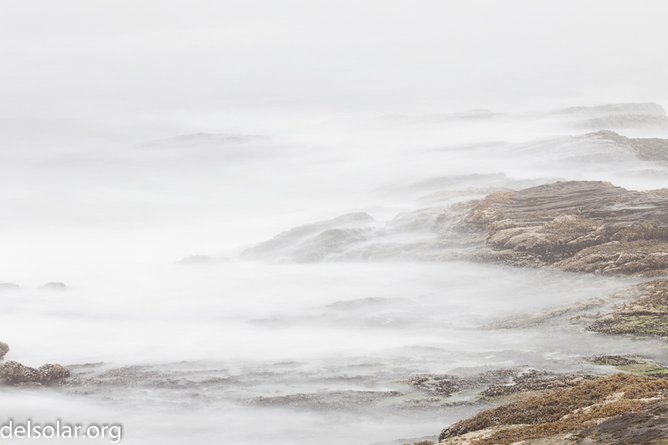 Canon EOS 5D Mark II  --  104 mm  --  EF70-200mm f/4L USM  