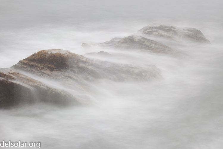 Canon EOS 5D Mark II  --  100 mm  --  EF70-200mm f/4L USM  