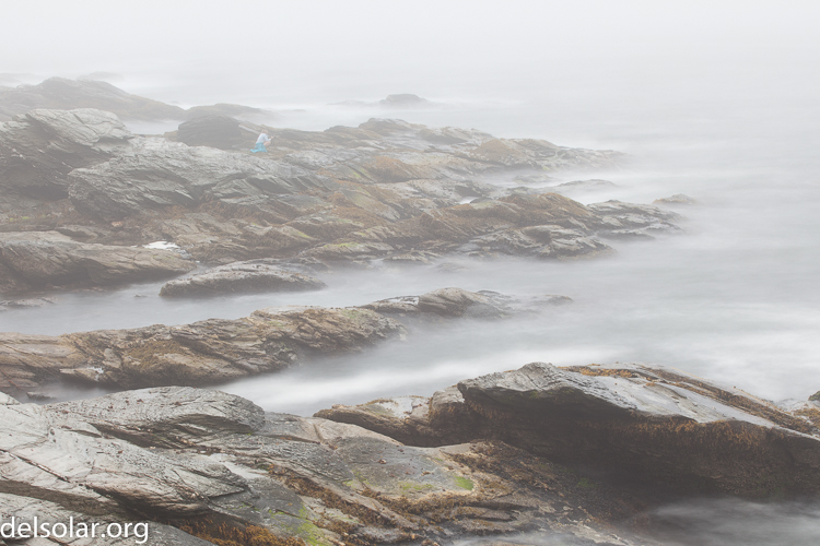 Canon EOS 5D Mark II  --  70 mm  --  EF70-200mm f/4L USM  