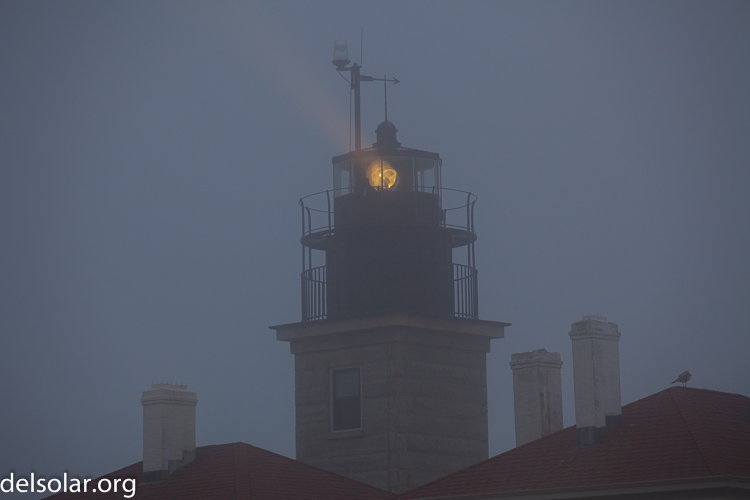 Canon EOS 5D Mark II  --  188 mm  --  EF70-200mm f/4L USM  