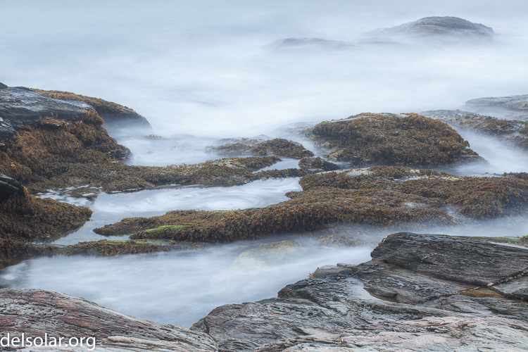 Canon EOS 5D Mark II  --  87 mm  --  EF70-200mm f/4L USM  