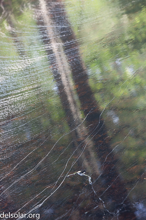 Canon EOS 5D Mark II  --  149 mm  --  EF70-200mm f/4L USM  