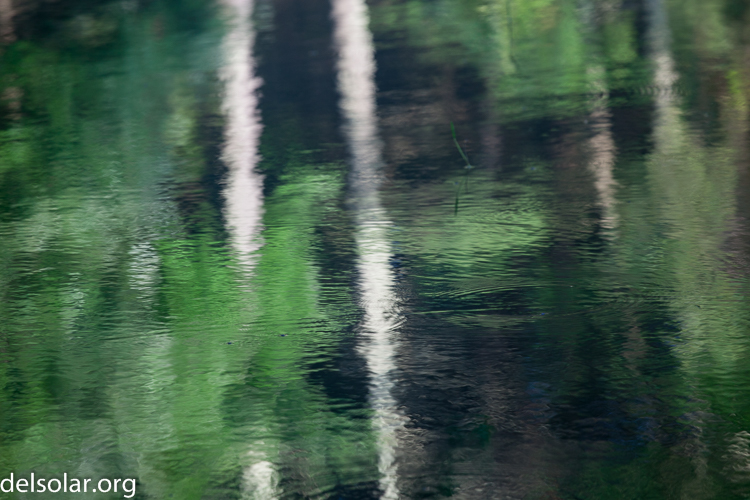 Canon EOS 5D Mark II  --  200 mm  --  EF70-200mm f/4L USM  