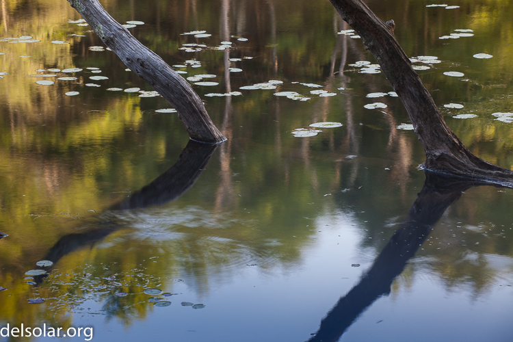 Canon EOS 5D Mark II  --  122 mm  --  EF70-200mm f/4L USM  