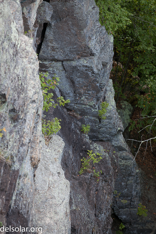 Canon EOS 5D Mark II  --  172 mm  --  EF70-200mm f/4L USM  