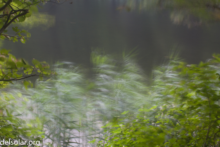 Canon EOS 5D Mark II  --  70 mm  --  EF70-200mm f/4L USM  