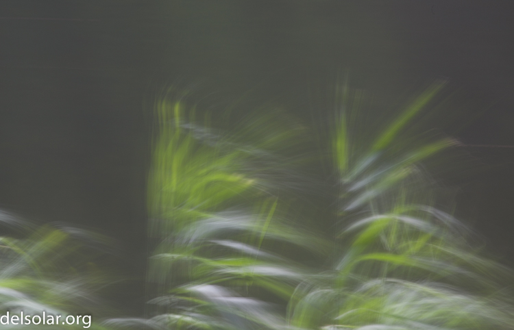 Canon EOS 5D Mark II  --  200 mm  --  EF70-200mm f/4L USM  