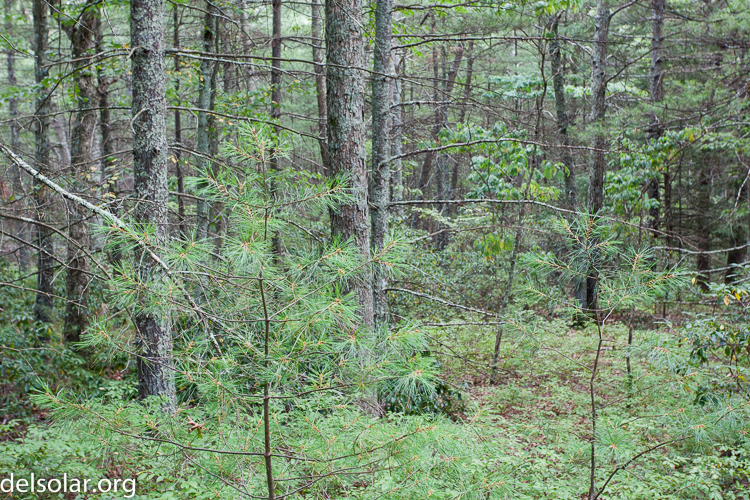 Canon EOS 5D Mark II  --  40 mm  --  EF17-40mm f/4L USM  