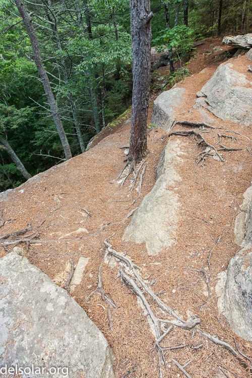 Canon EOS 5D Mark II  --  22 mm  --  EF17-40mm f/4L USM  