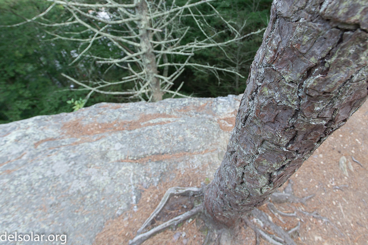 Canon EOS 5D Mark II  --  19 mm  --  EF17-40mm f/4L USM  