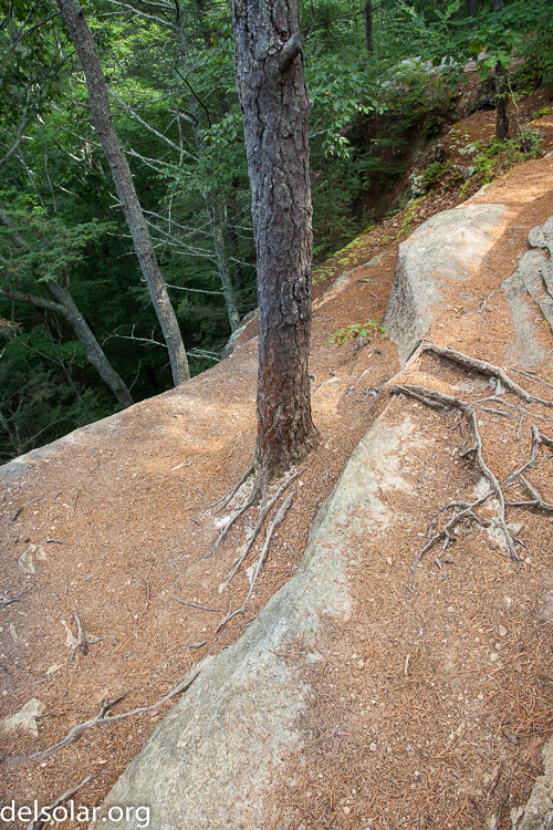 Canon EOS 5D Mark II  --  25 mm  --  EF17-40mm f/4L USM  