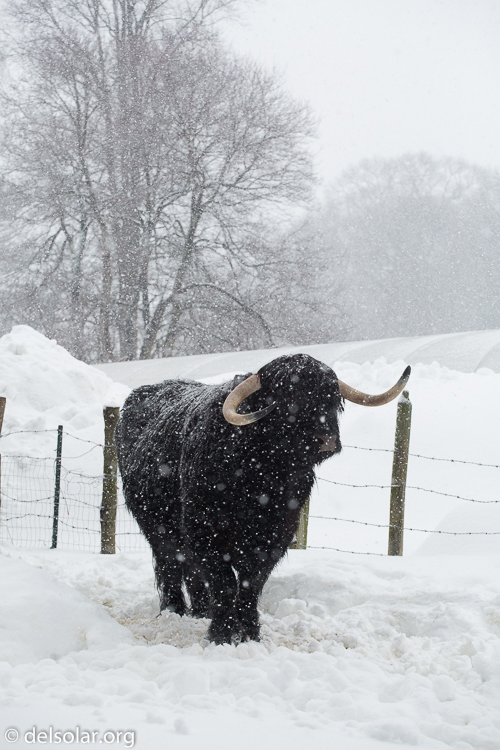 Canon EOS 5D Mark III  --  91 mm  --  EF70-200mm f/4L USM  